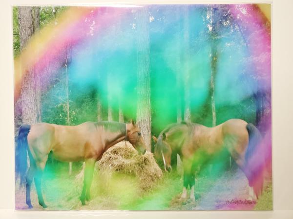 8x10 Un-matted Print - "Dreaming of Unicorns" picture