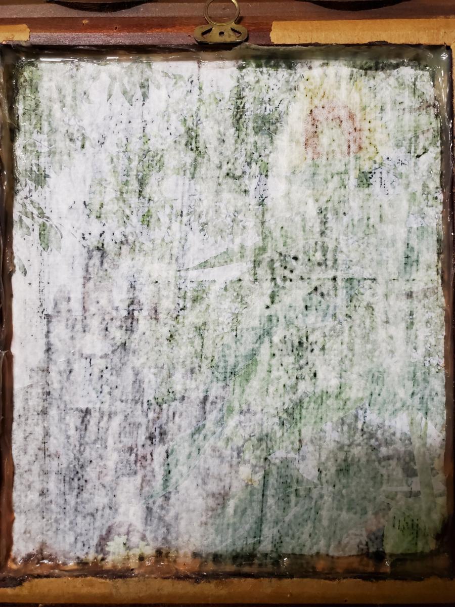 Gel Medium Transfer Frame Piece - "San Antonio Sunflower" picture