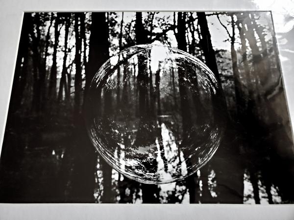 14 x 18 Matted Print - "Reflections in the Forest" picture