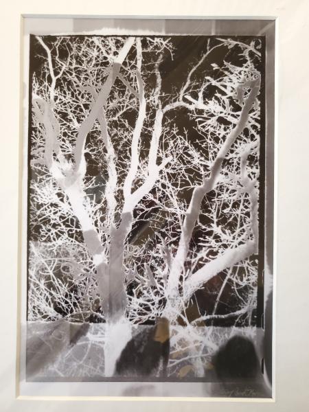 9x12 Matted Print - "Solarized Trees" picture