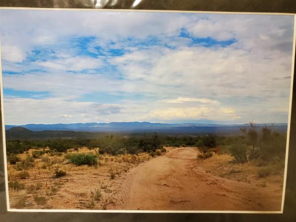 9x12 Matted Print - "Desert View" picture