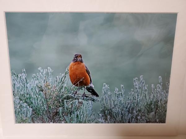 9x12 Matted Print - "Song Amidst the Sagebrush" picture