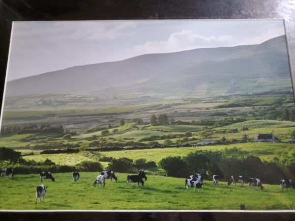 14 x 18 Matted Print - "Emerald Green" picture