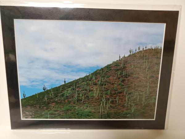 9x12 Matted Print - "Saguaro Hill"