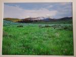 16 x 20 Matted Print - "Mountain Colors"