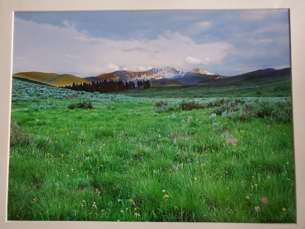 16 x 20 Matted Print - "Mountain Colors"