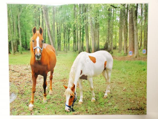 8x10 Un-matted Print - "Friends in the Forest 2"