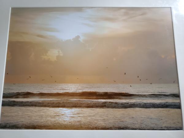 14 x 18 Matted Print - "Morning Glory" picture