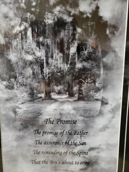 Framed Print/Poem - "The Promise" picture