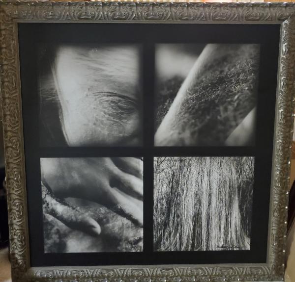 Framed Canvas Print - "Human-Nature Series"