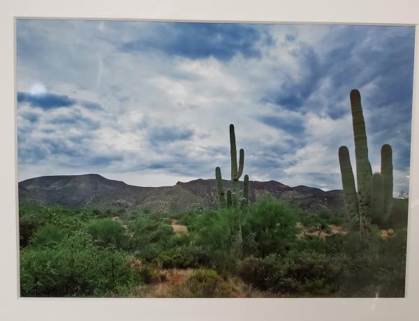 9x12 Matted Print - "Western Skies"