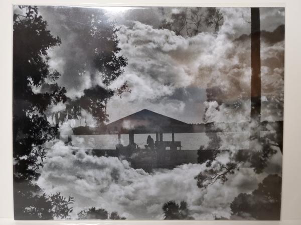 8x10 Un-matted Print - "Oasis" picture