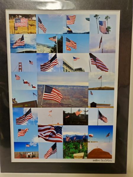 9x12 Matted Print - "Flags Across the West" picture