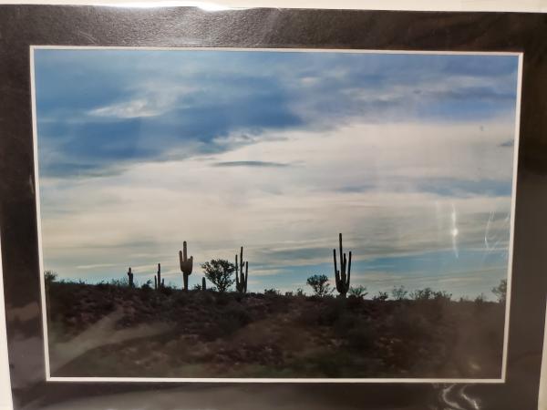 9x12 Matted Print - "Western Silhouette" picture