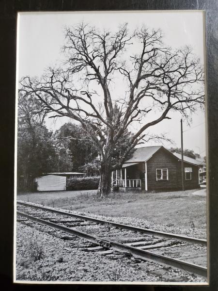 11x14 Matted Print - "Frozen in TIme" picture