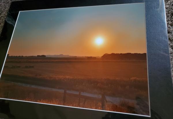 14 x 18 Matted Print - "Western Fields" picture