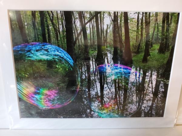 9x12 Matted Print - "Reflections in the Forest 3"