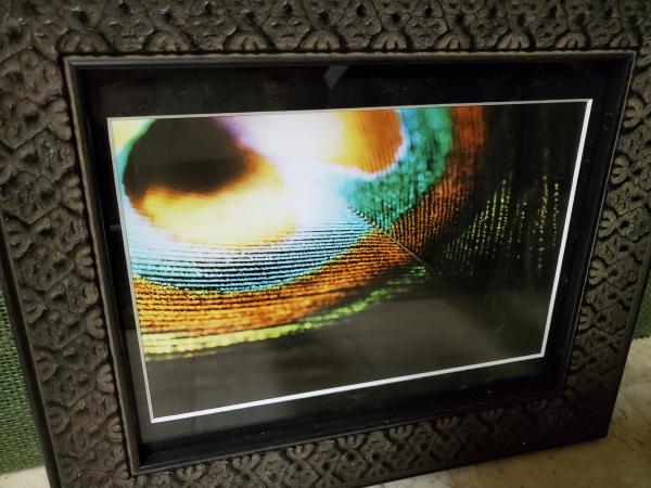 Framed Print - "Light Feather" picture