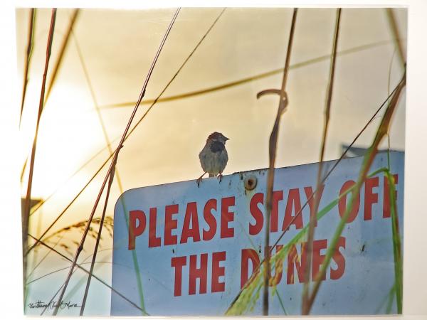 8x10 Un-matted Print - "Trespasser"