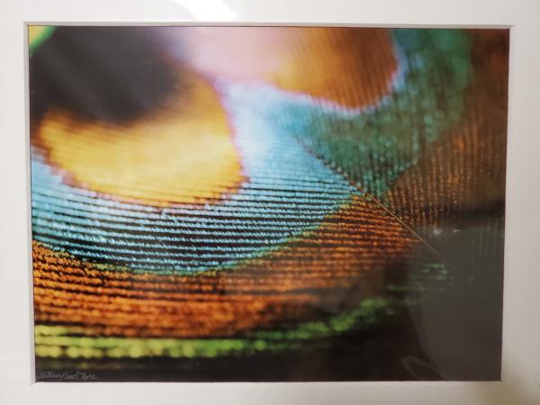 8x10 Matted Print - "Light Feather 1" picture