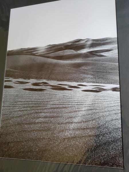 14 x 18 Matted Print - "Windswept" picture