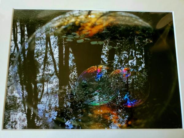 9x12 Matted Print - "Reflections in the Forest 4"
