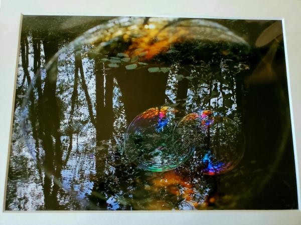 9x12 Matted Print - "Reflections in the Forest 4" picture