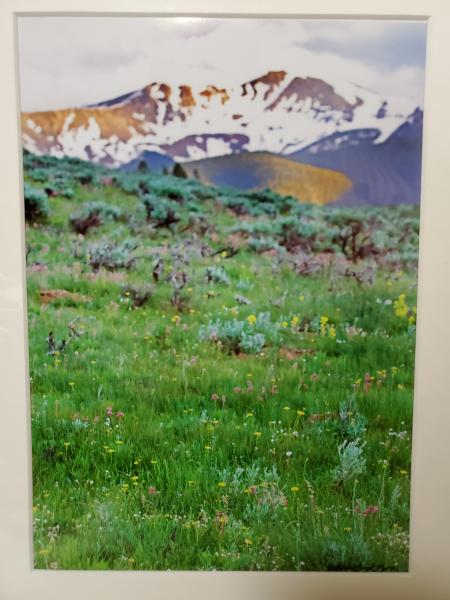 9x12 Matted Print - "Mountain in the Meadow" picture