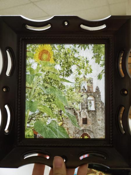 Gel Medium Transfer Frame Piece - "San Antonio Sunflower" picture