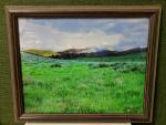 Framed Print - "Mountain Colors"