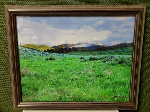 Framed Print - "Mountain Colors" picture