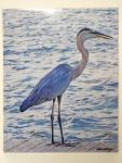 8x10 Un-matted Print - "Blue Heron Fishing"