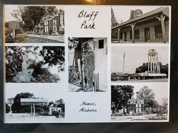 9x12 Matted Print - "Ode to Bluff Park"