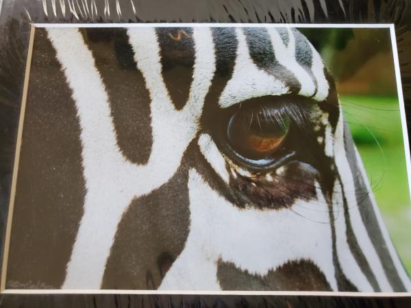 9x12 Matted Print - "From a Different Perspective" picture