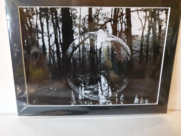 9x12 Matted Print - "Reflections in the Forest" picture