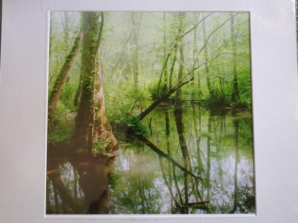 16x16 Matted Print - "Enchanted Pool"