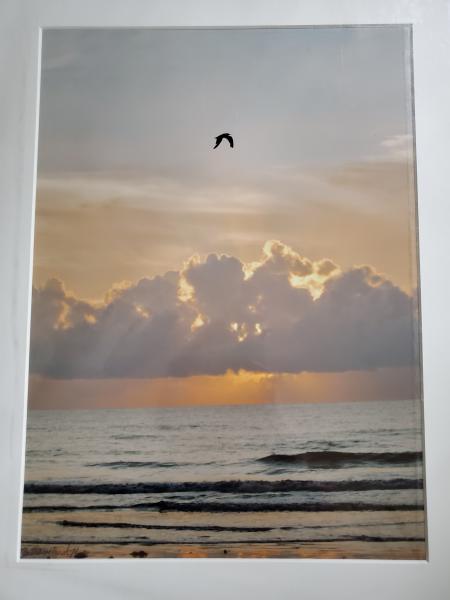 14 x 18 Matted Print - "Up with the Dawn"