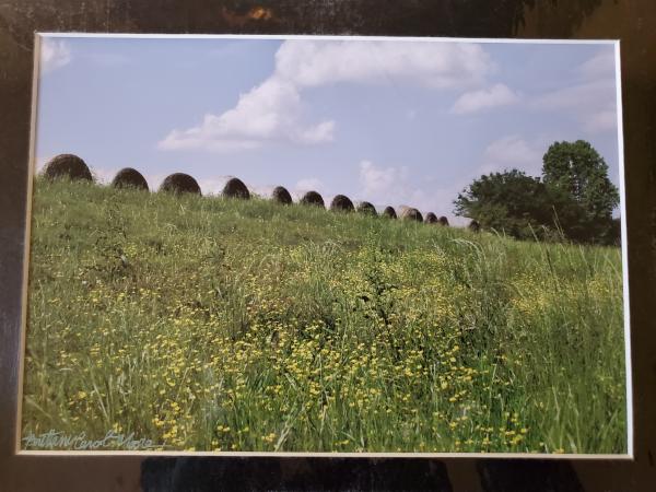 9x12 Matted Print - "Country Hay" picture