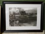 Framed Print - "Meadow"