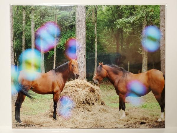 8x10 Un-matted Print - "Colorful Whimsy" picture