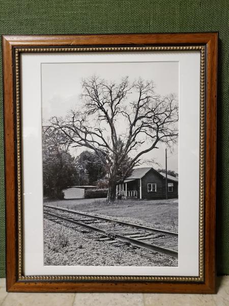 Framed Print - "Frozen in Time" picture