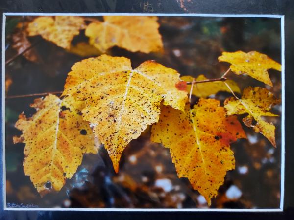 9x12 Matted Print - "Turning" picture