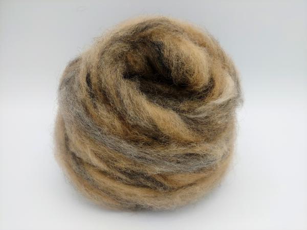 "Cookie Dough" Finnsheep and Alpaca Blend Roving - sold by the ounce