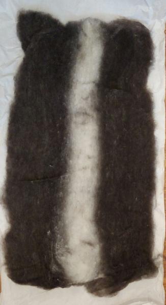 8oz Striped Finnsheep and Aplaca Blend Batt picture