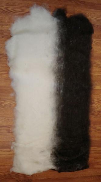 8oz Finnsheep and Alpaca Blend Batt