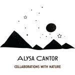 Alysa Cantor