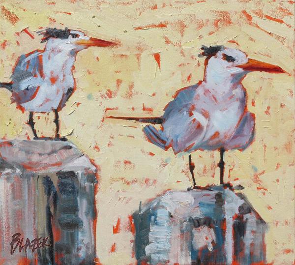 Summer Terns