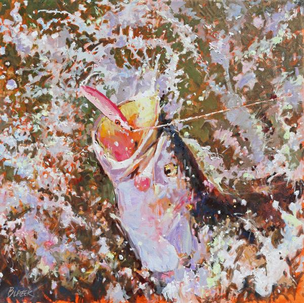 Trout Explosion picture