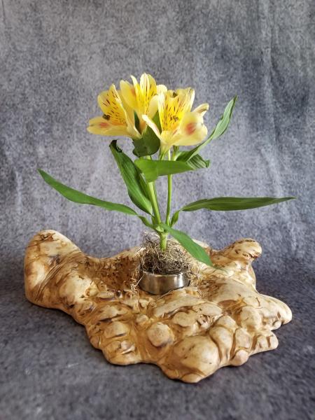 Maple Burl Floral Arrangement Containers