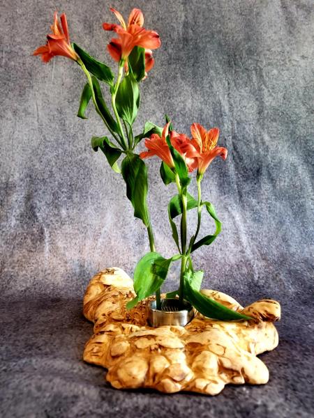 Maple Burl Floral Arrangement Containers picture